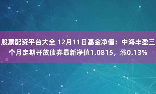 股票配资平台大全 12月11日基金净值：中海丰盈三个月定期开放债券最新净值1.0815，涨0.13%