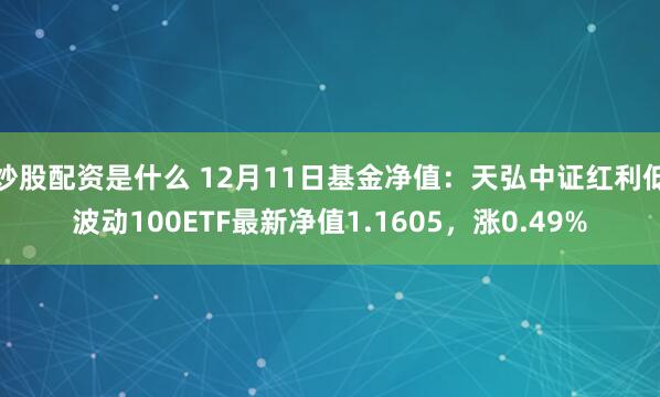 炒股配资是什么 12月11日基金净值：天弘中证红利低波动100ETF最新净值1.1605，涨0.49%
