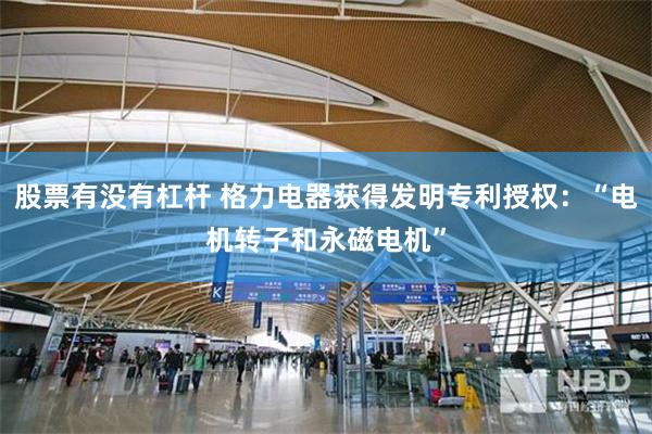 股票有没有杠杆 格力电器获得发明专利授权：“电机转子和永磁电机”