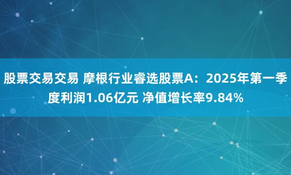 股票交易交易 摩根行业睿选股票A：2025年第一季度利润1.06亿元 净值增长率9.84%