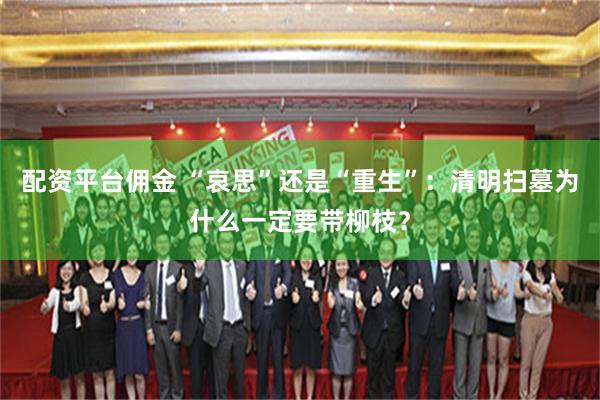 配资平台佣金 “哀思”还是“重生”：清明扫墓为什么一定要带柳枝？