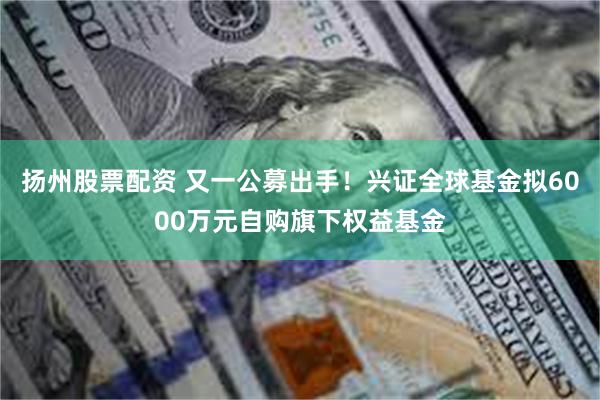 扬州股票配资 又一公募出手！兴证全球基金拟6000万元自购旗下权益基金