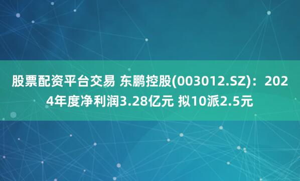 股票配资平台交易 东鹏控股(003012.SZ)：2024年度净利润3.28亿元 拟10派2.5元