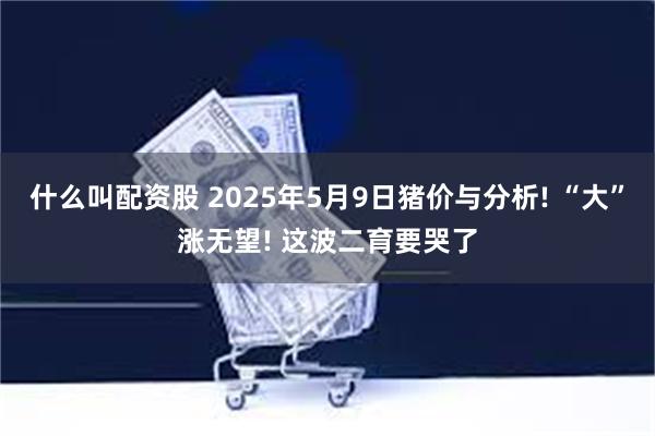 什么叫配资股 2025年5月9日猪价与分析! “大”涨无望! 这波二育要哭了