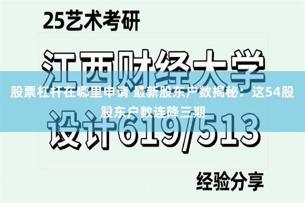 股票杠杆在哪里申请 最新股东户数揭秘：这54股股东户数连降三期