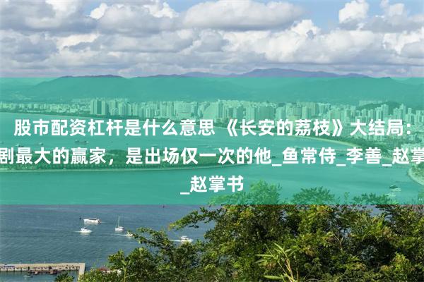 股市配资杠杆是什么意思 《长安的荔枝》大结局：全剧最大的赢家，是出场仅一次的他_鱼常侍_李善_赵掌书